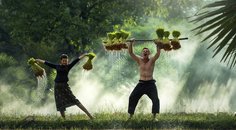 Jak cestovat za minimální náklady? Jak cestovat za minimální náklady?