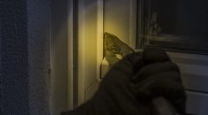 Letní dovolená a pojištění domácnosti