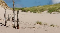Dovolená u moře jinak - rady a tipy