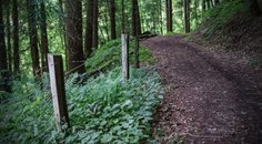 Výbava, kterou si nesmíte zapomenout do divočiny Výbava, kterou si nesmíte zapomenout do divočiny