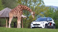 Zoo Česká republika - tipy na výlet nejen s dětmi Zoo Česká republika - tipy na výlet nejen s dětmi